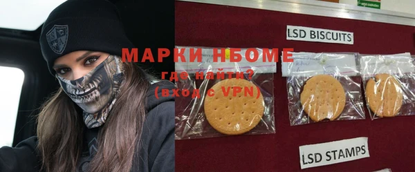 ECSTASY Каменногорск