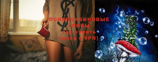 стафф Каменск-Шахтинский