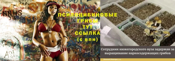 стафф Каменск-Шахтинский