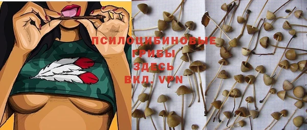 ECSTASY Каменногорск