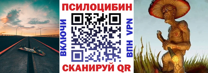 Псилоцибиновые грибы Psilocybe  Купить  Лесосибирск 